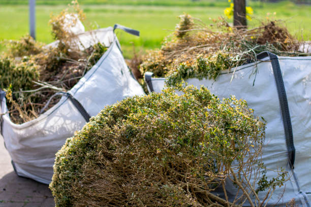 Best Household Junk Removal  in Bushnell, FL